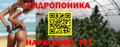 круглые Заволжье