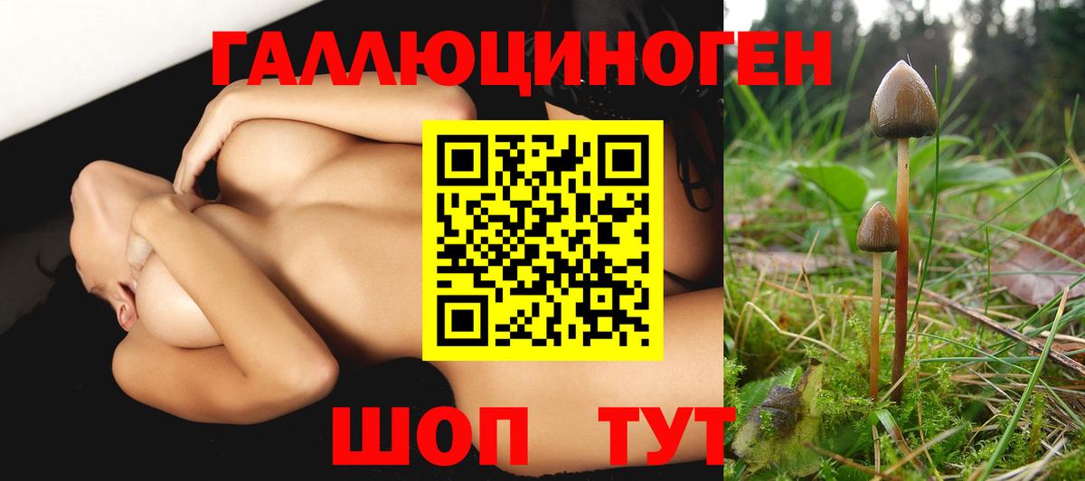 Псилоцибиновые грибы Magic Shrooms  Вход с VPN  где купить наркоту  Менделеевск 